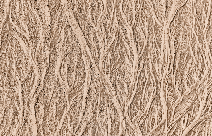 Rooted in knowledge. Built for impact.